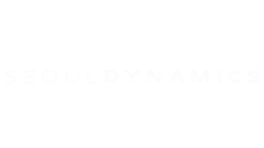 Seoul Dynamics